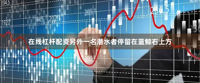 在线杠杆配资另外一名潜水者停留在蓝鲸右上方