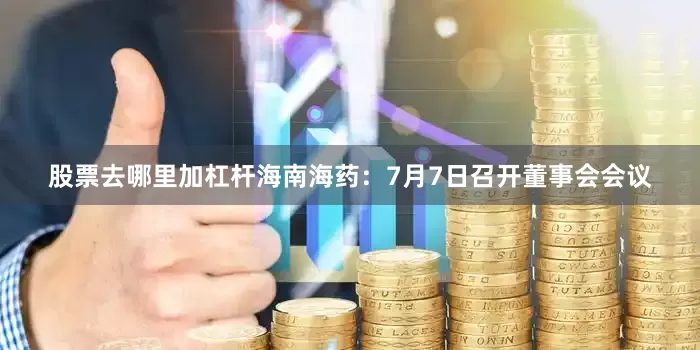 股票去哪里加杠杆海南海药：7月7日召开董事会会议