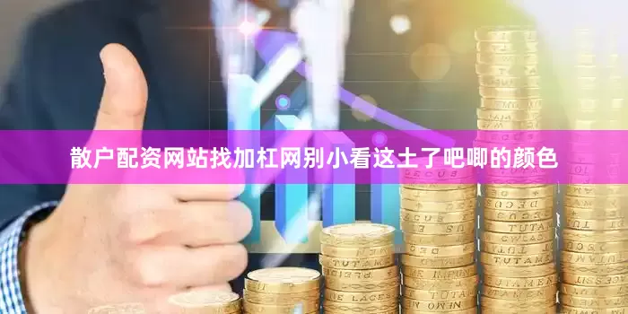 散户配资网站找加杠网别小看这土了吧唧的颜色