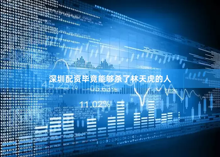 深圳配资毕竟能够杀了林天虎的人
