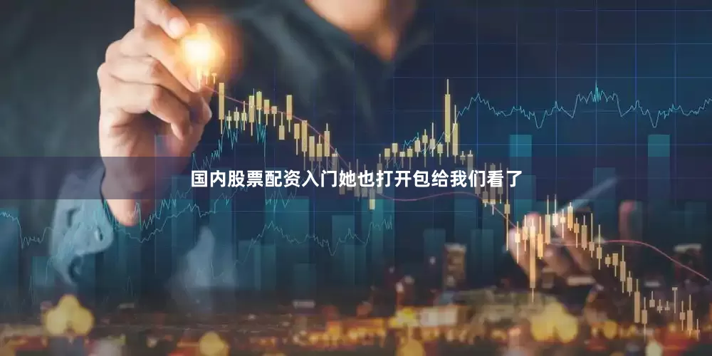 国内股票配资入门她也打开包给我们看了