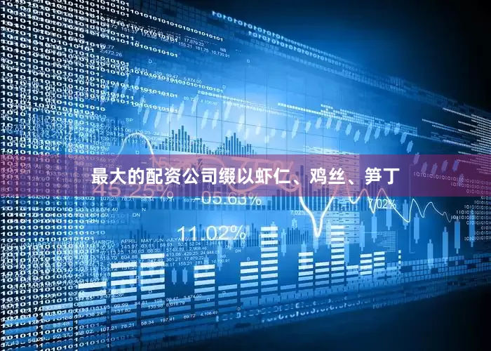 最大的配资公司缀以虾仁、鸡丝、笋丁