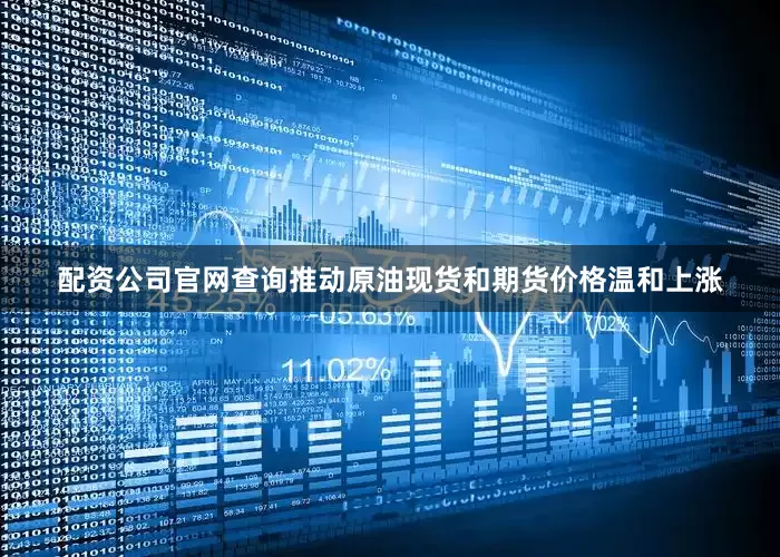 配资公司官网查询推动原油现货和期货价格温和上涨